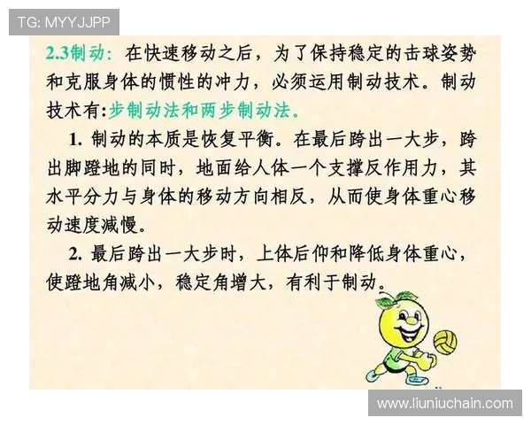 上海排球队战术表现分析与联赛表现的深度解读 上海排球队战术表现分析与联赛表现的深度解读
