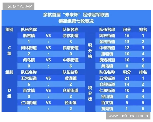 杭州排球队在杯赛中的技术表现分析与未来发展展望 杭州排球队在杯赛中的技术表现分析与未来发展展望