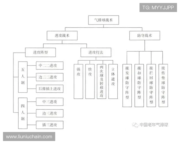 科学排球战术训练方法探索与实践提升竞技水平的有效策略