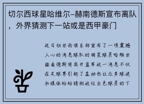 切尔西球星哈维尔-赫南德斯宣布离队，外界猜测下一站或是西甲豪门